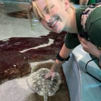 Female student leaning over indoor water tank and touching a sting ray